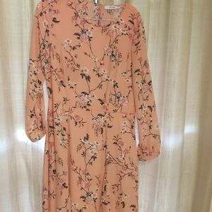 Long sleeve knee length dress